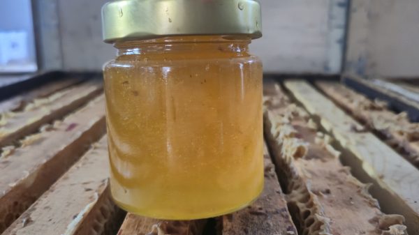 Miere Brută 500g